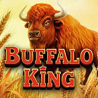 Buffalo King in Sub_Pragmatic_MX