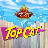 Top Cat in Jackpots