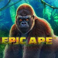 Epic Ape in Tragamonedas