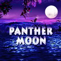 Panther Moon in Tragamonedas