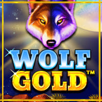 Wolf Gold in Sub_Pragmatic_MX